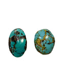 You Also May Like This Turquoise Stoes. 
