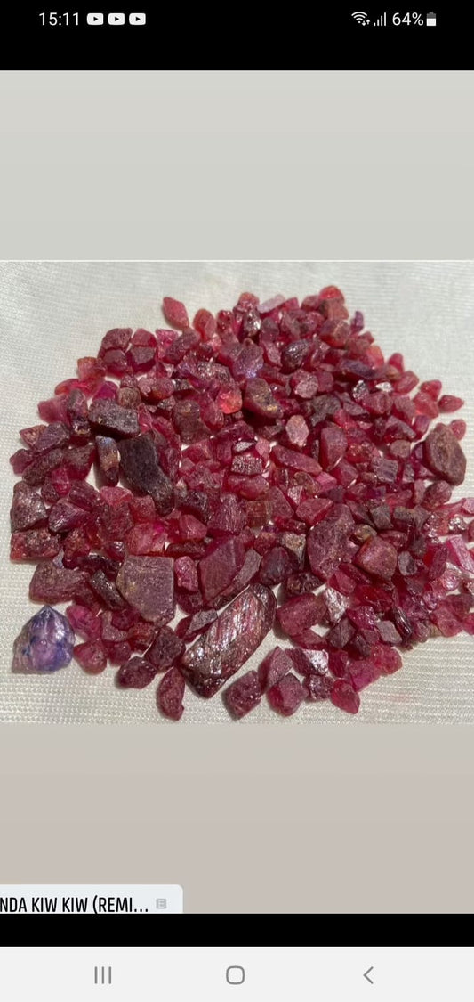 Unheated Rough Rubies for Gem Collectors & Jewellers – 260 Carats