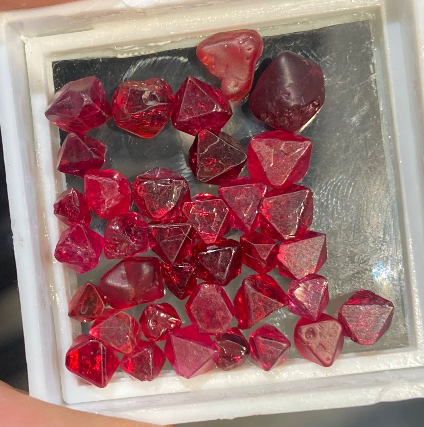 Red Facet Rough

