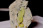 Large Brucite crystal on matrix specimen