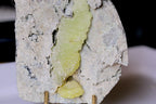 Brucite on Matrix Specimen for Collection 