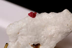 Collector grade red spinel mineral specimen