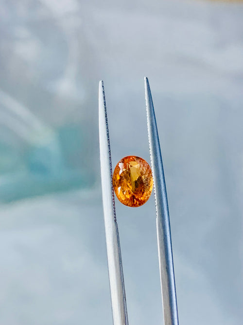 loose tone garnet