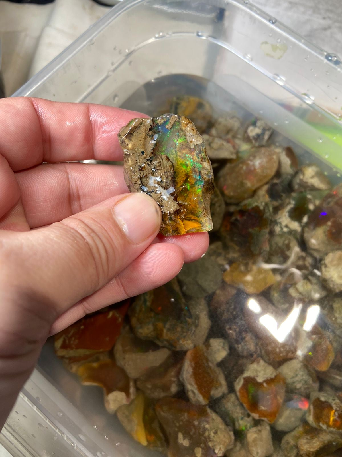 opal birthstone month
