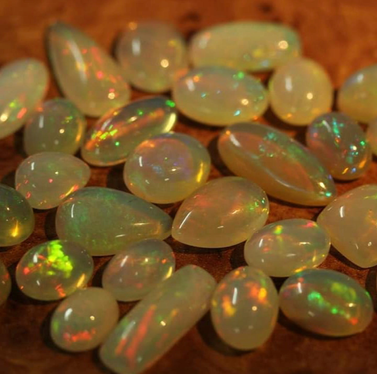opal earrings gold
