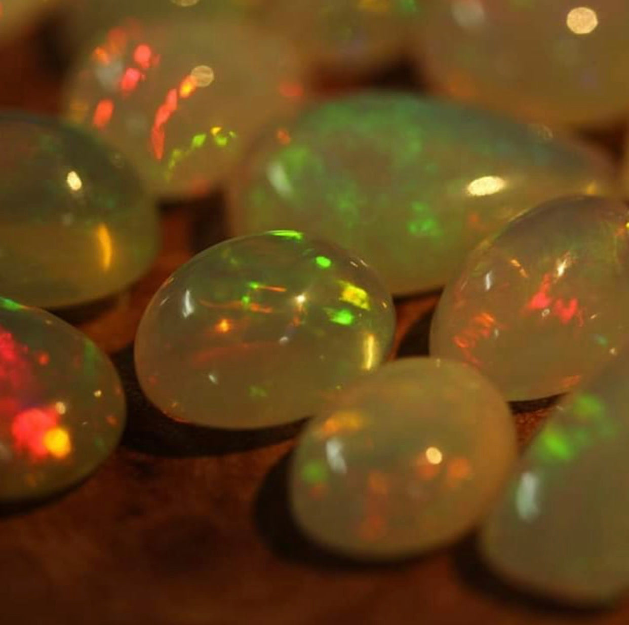 black opal earrings
