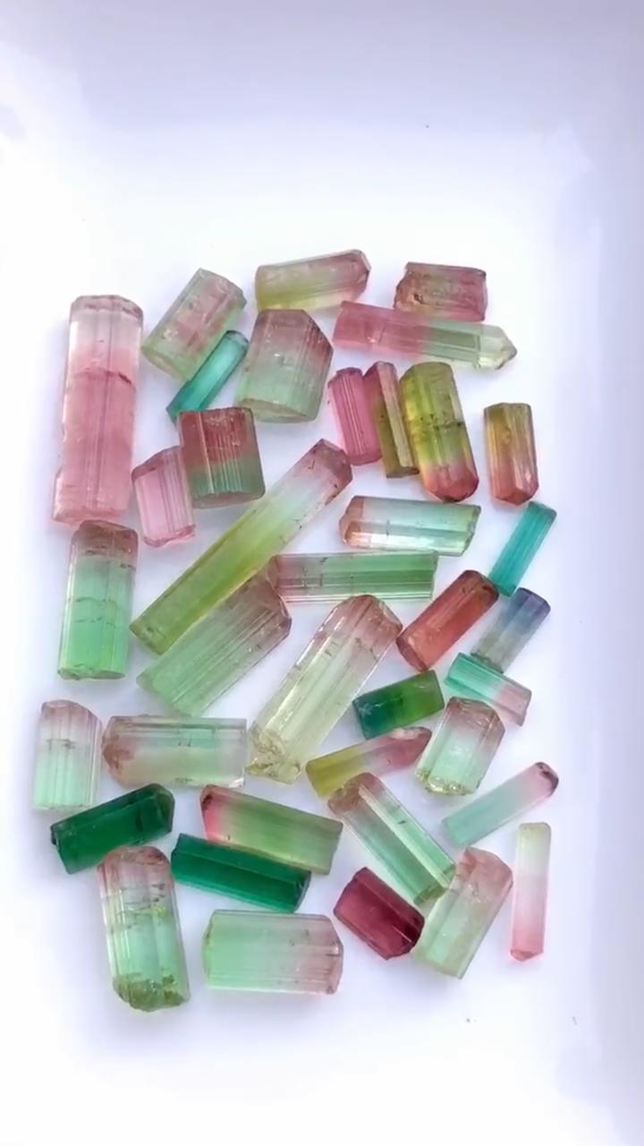 premium 25.1 gram tricolor tourmaline rough

