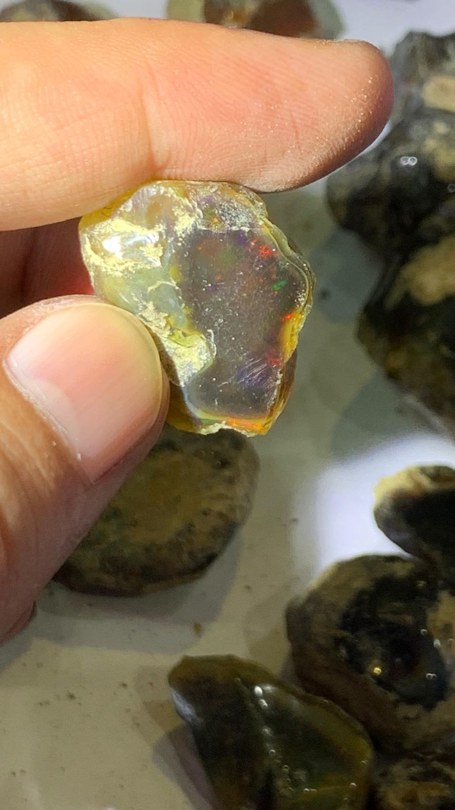 ethiopian opal black
