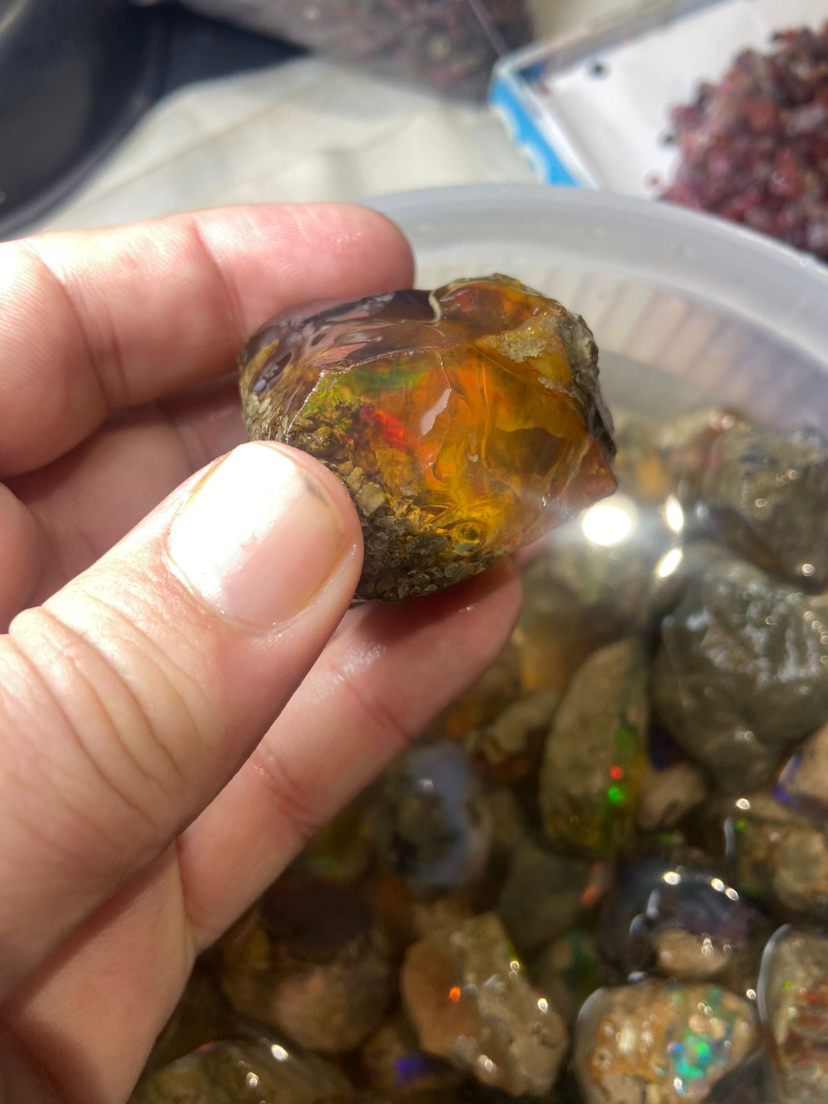 raw opal
