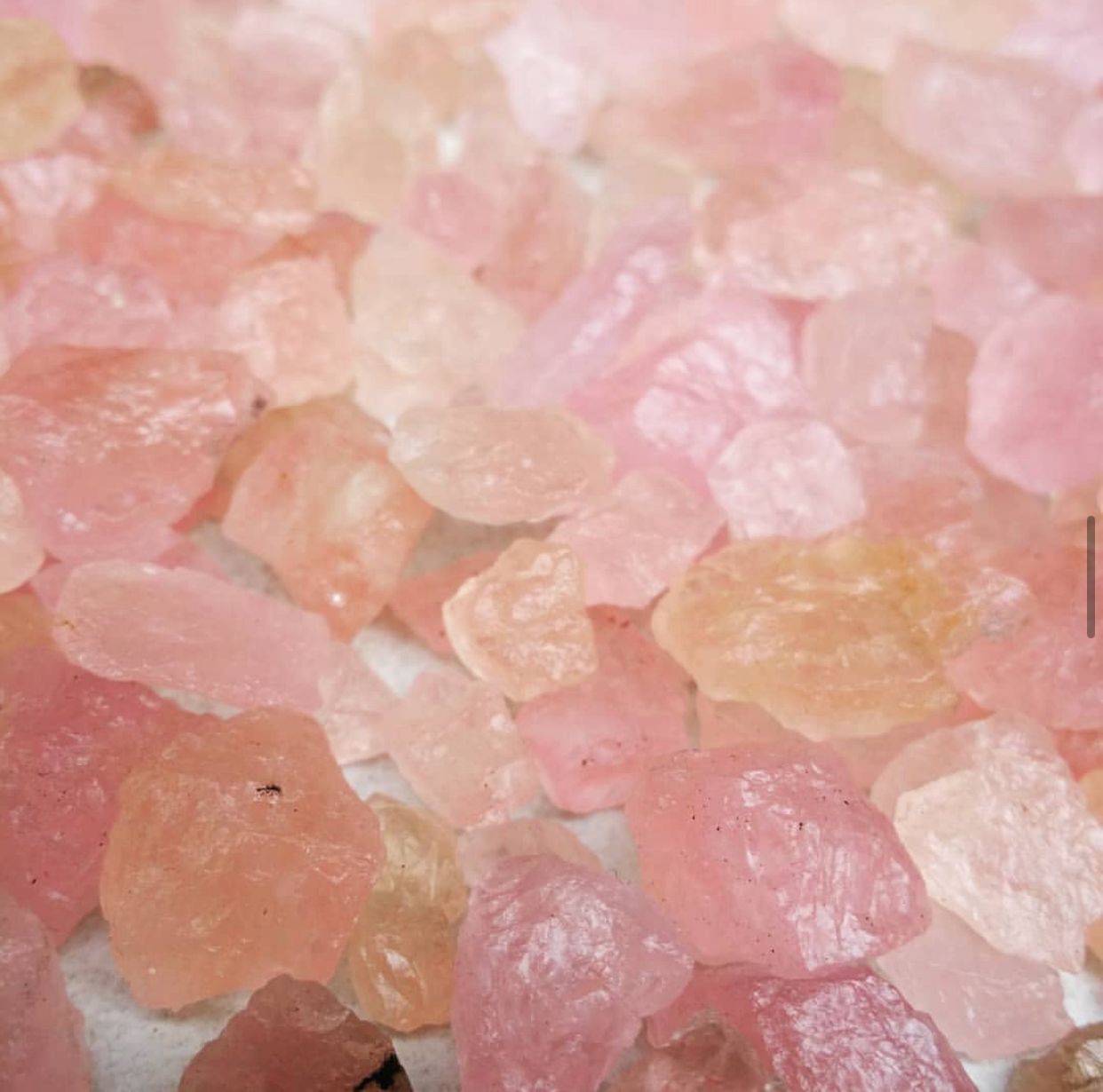 pink morganite
