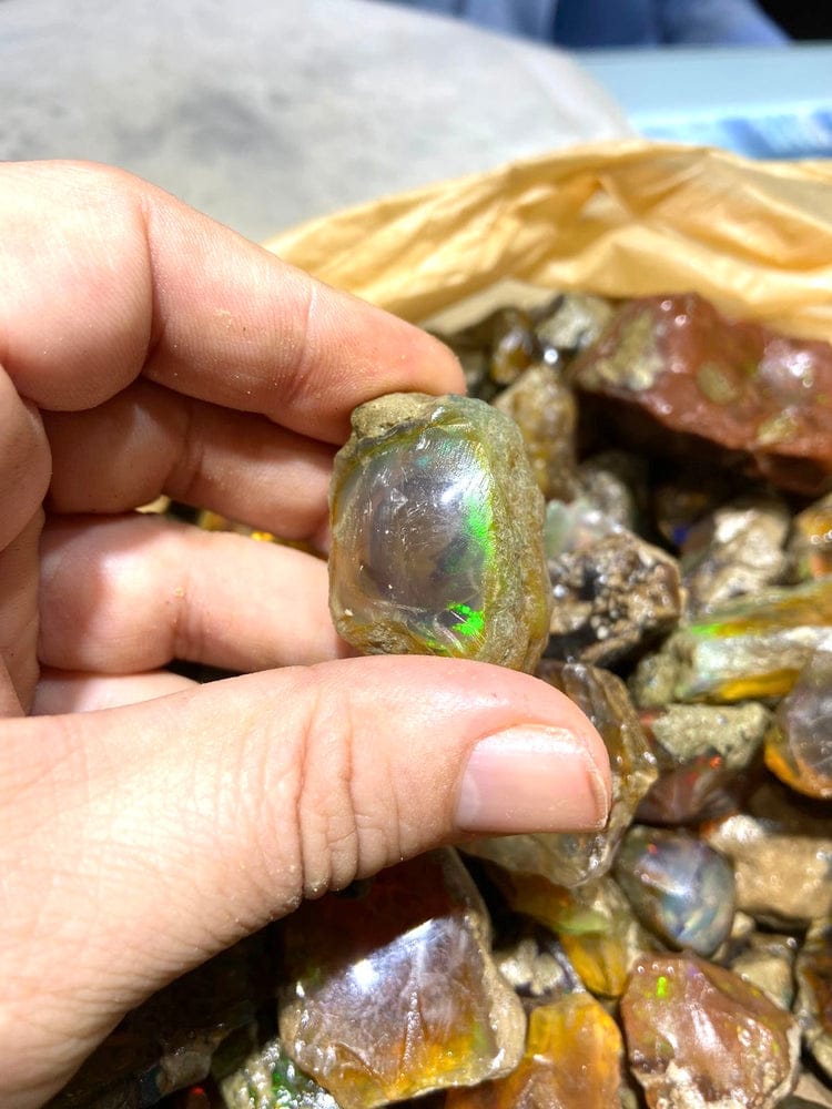 blue opal
