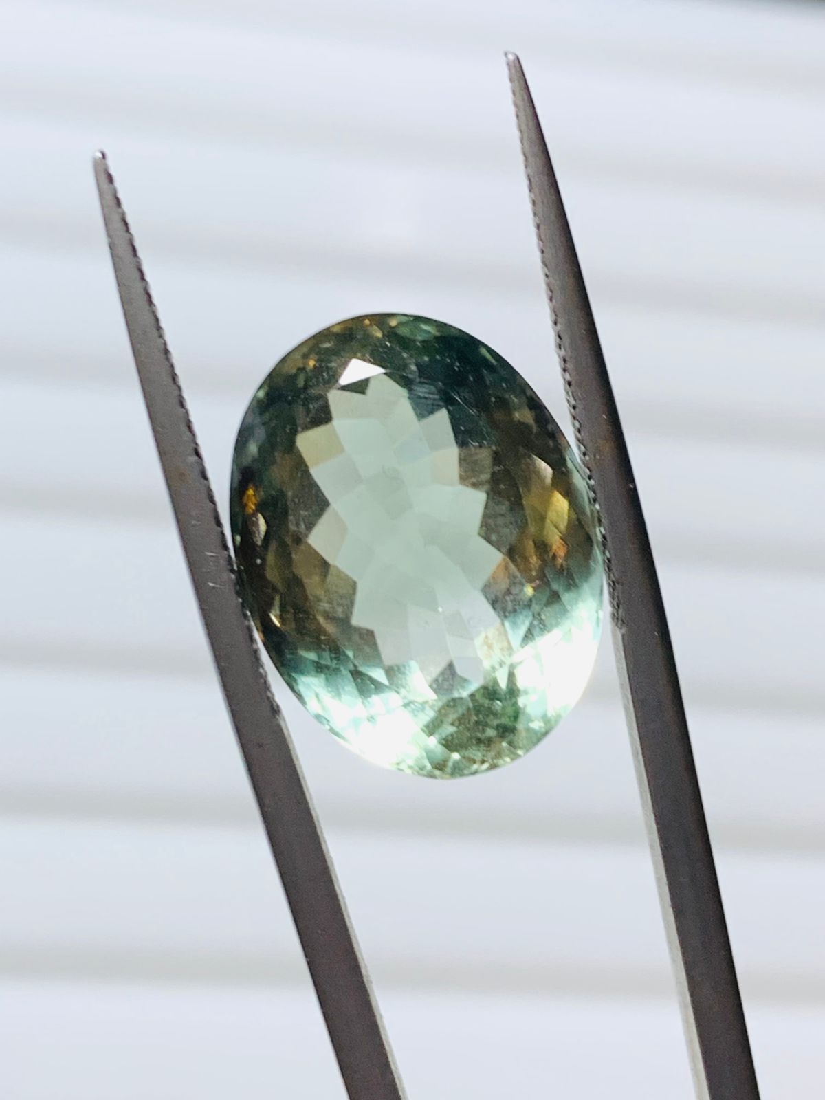 prasiolite garnet
