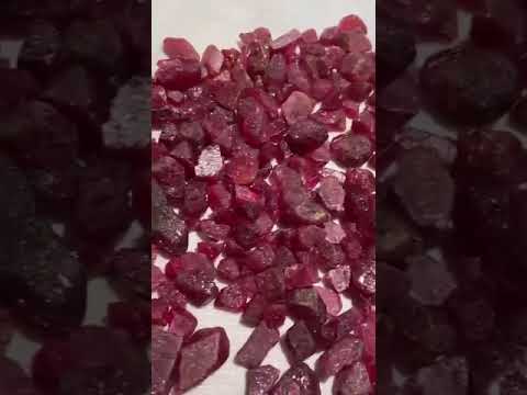 Unheated Rough Rubies for Gem Collectors & Jewellers – 260 Carats