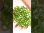 raw peridot for jewelry


