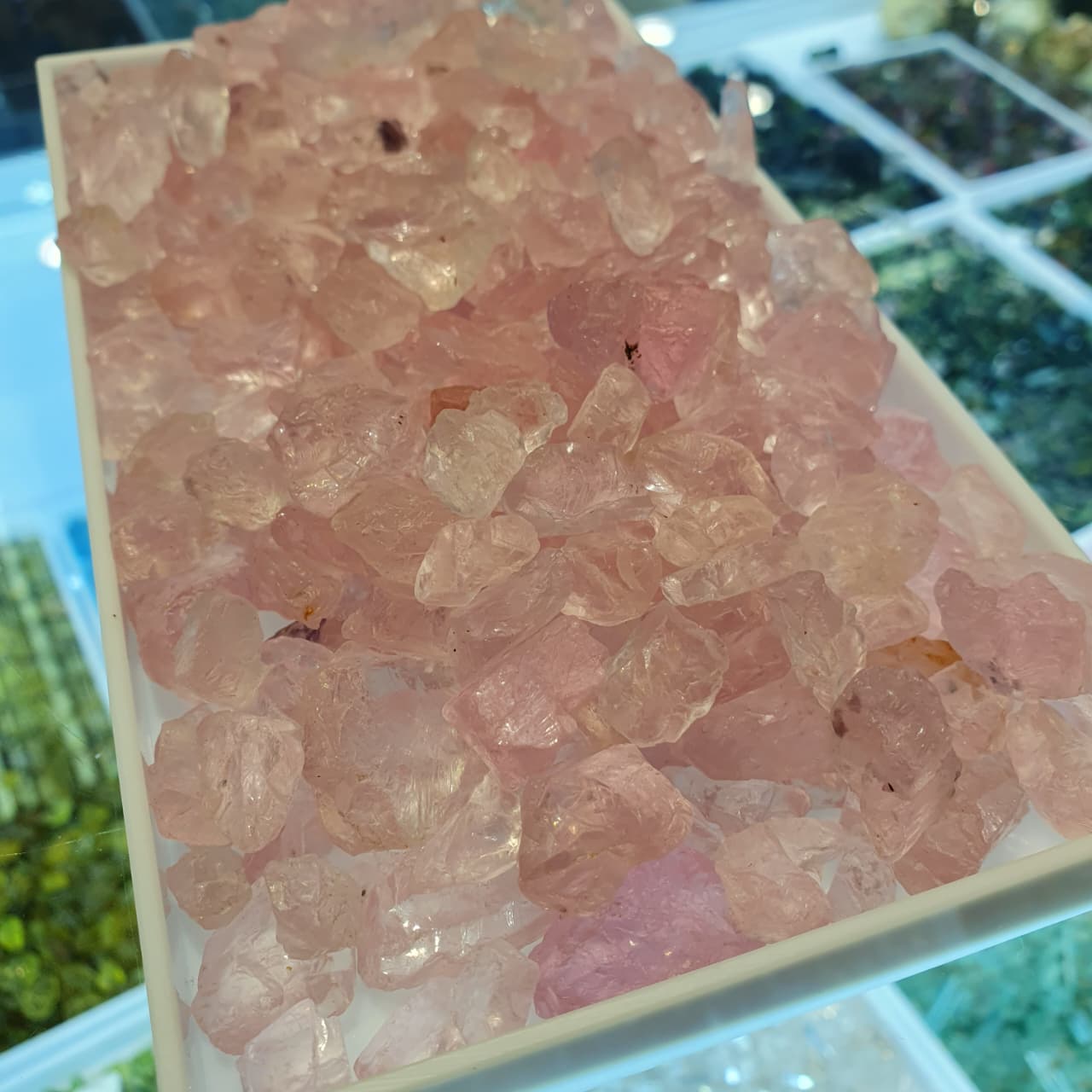 500 Grams Natural rough morganite Facet Quality for Gems Cutter