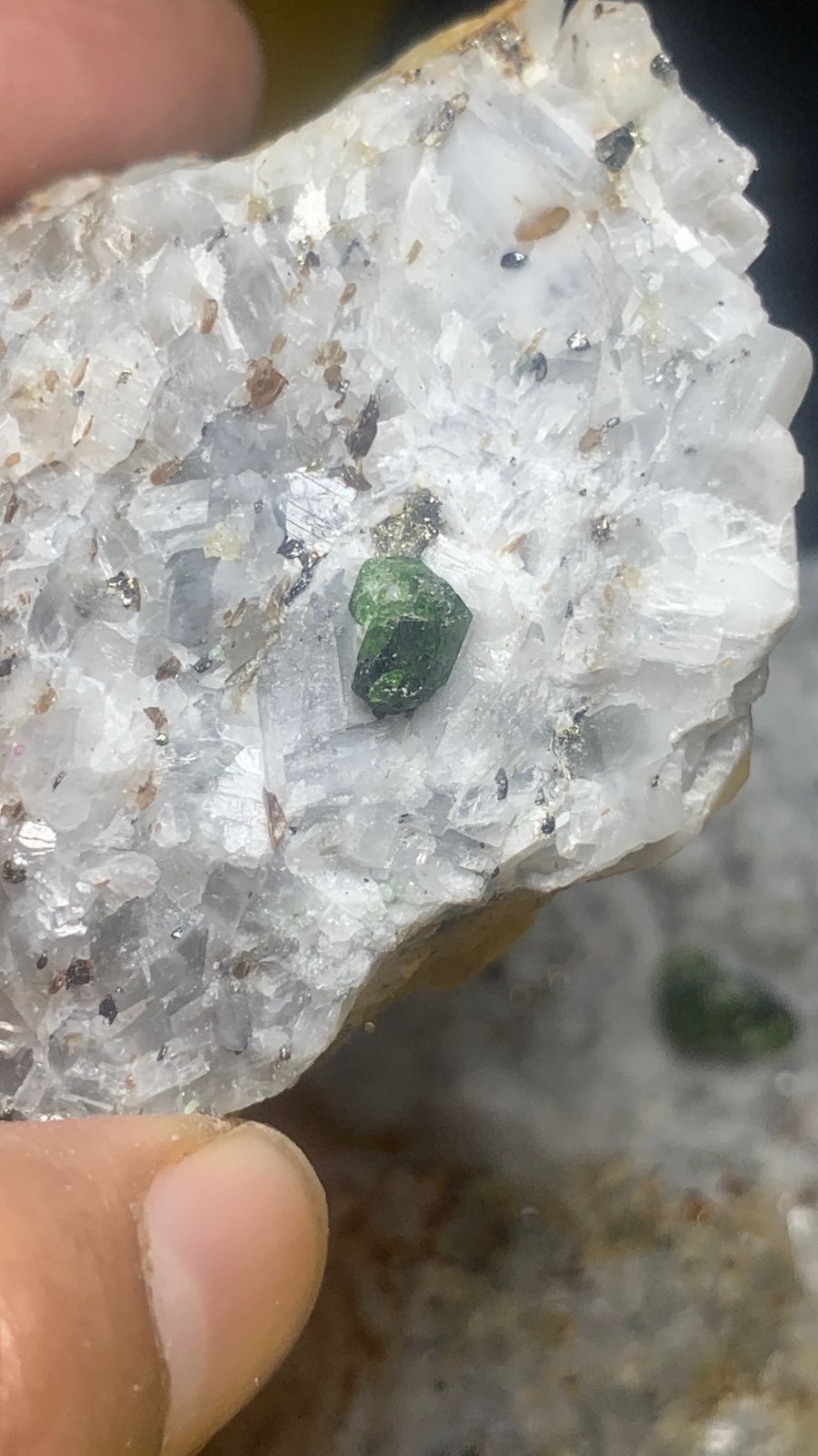 Rare 3 Pargasite specimen Beginners Deal