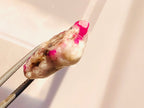 best price ruby calcite matrix specimen

