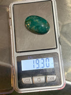 turquoise cabs