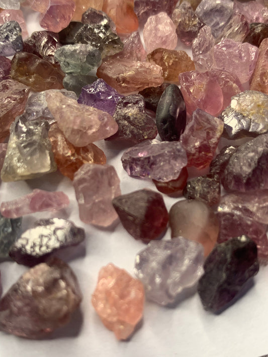 spinal gems