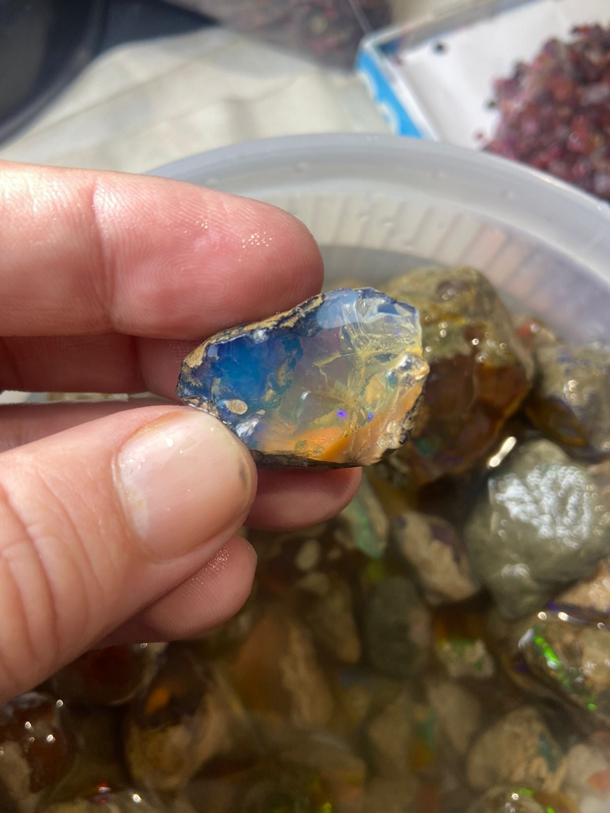 natural opal
