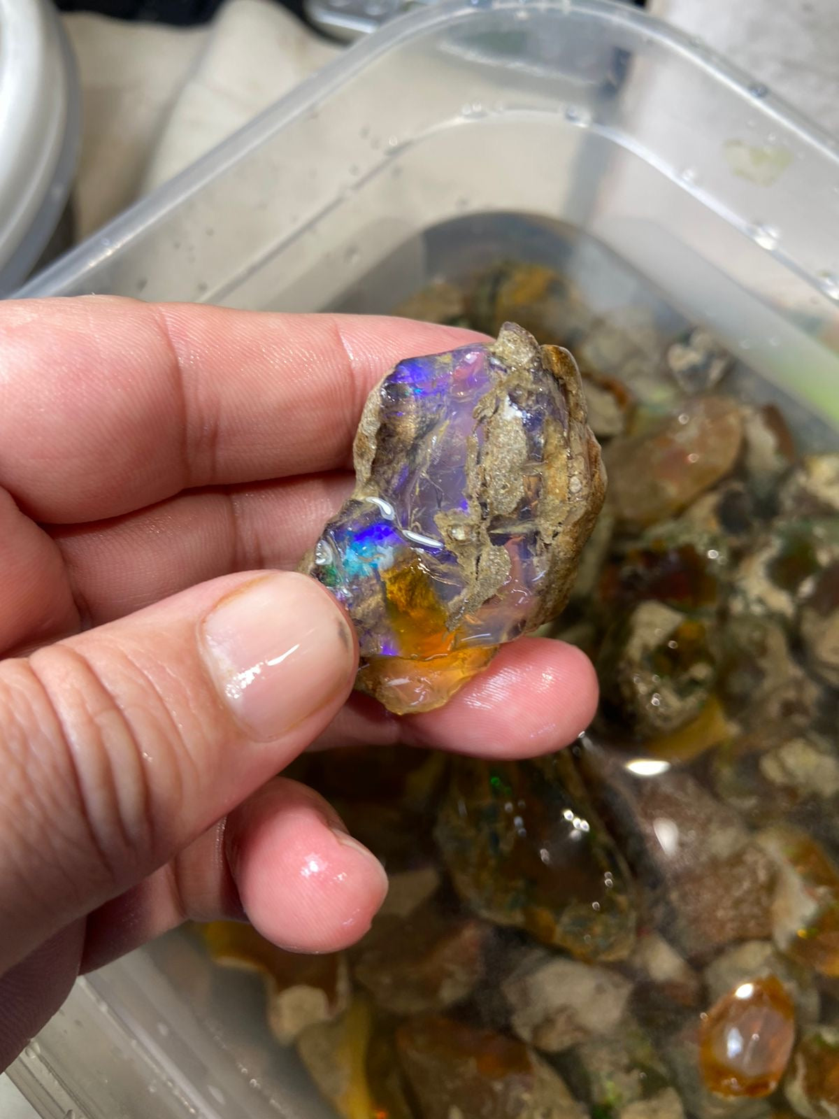 opal gemstone
